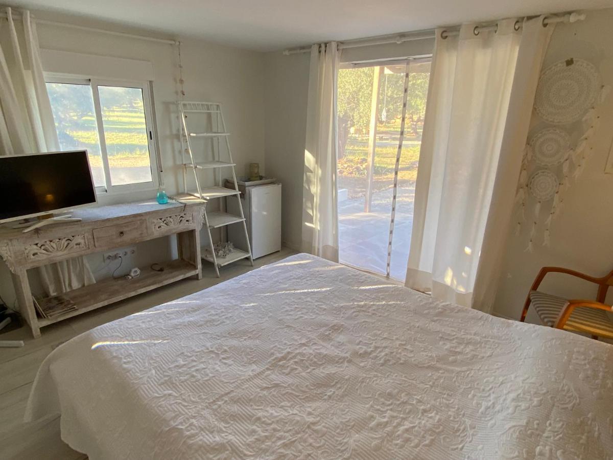 דירות Campredo Alba Studio מראה חיצוני תמונה